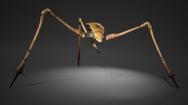 Первые детали Project Borealis — фанатской версии Half-Life 3