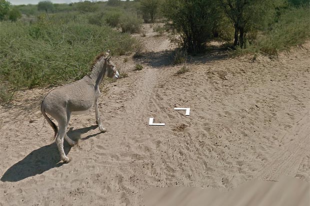 Google обвинили в убийстве...