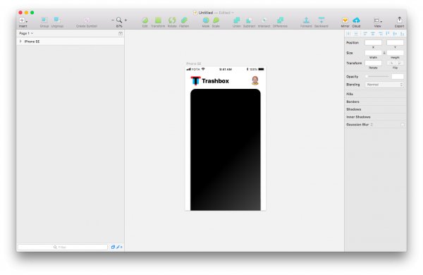 Делаем дизайн iOS-клиента Trashbox
