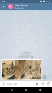 Telegram достиг 200 млн активных пользователей