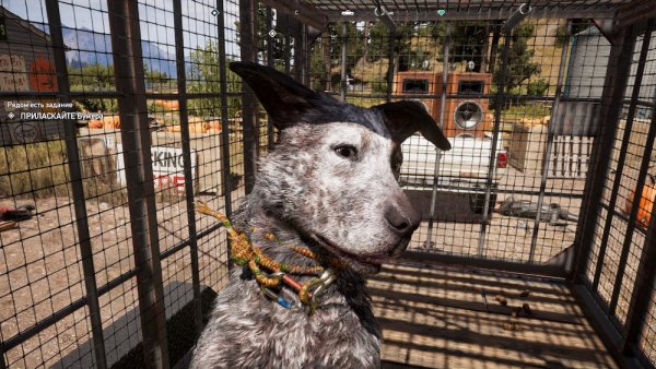 Обзор Far Cry 5. Ubisoft рискнули и не прогадали