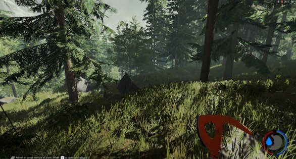 The Forest вышла из раннего доступа