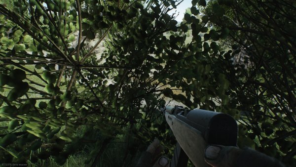 Обзор Escape from Tarkov: Сталкер-онлайн с привкусом DayZ