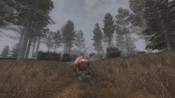 Фанаты сделали S.T.A.L.K.E.R. заметно красивее