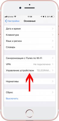 Как устанавливать обновления Telegram в обход App Store
