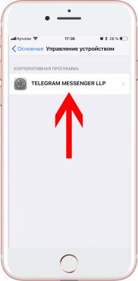 Как устанавливать обновления Telegram в обход App Store