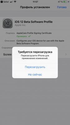 Как установить публичную бету iOS 12 на iPhone, iPad, iPod touch