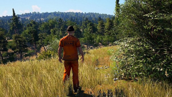 Лучшие игры августа для ПК и PS4