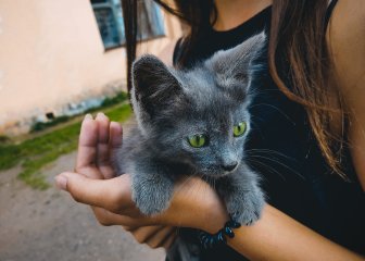 Почему не стоит гнаться за флагманскими смартфонами в 2018 году