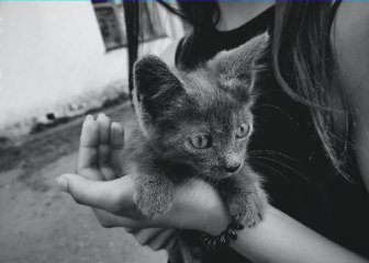 Как работает сжатие изображений