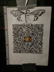 История самого масштабного интернет-квеста Cicada 3301