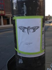 История самого масштабного интернет-квеста Cicada 3301