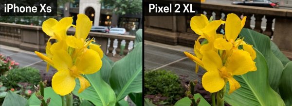Камера iPhone XS всё ещё проигрывает Pixel 2
