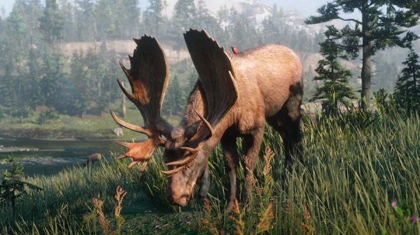 Red Dead Redemption 2 получит мультиплеер всего на 32 игрока