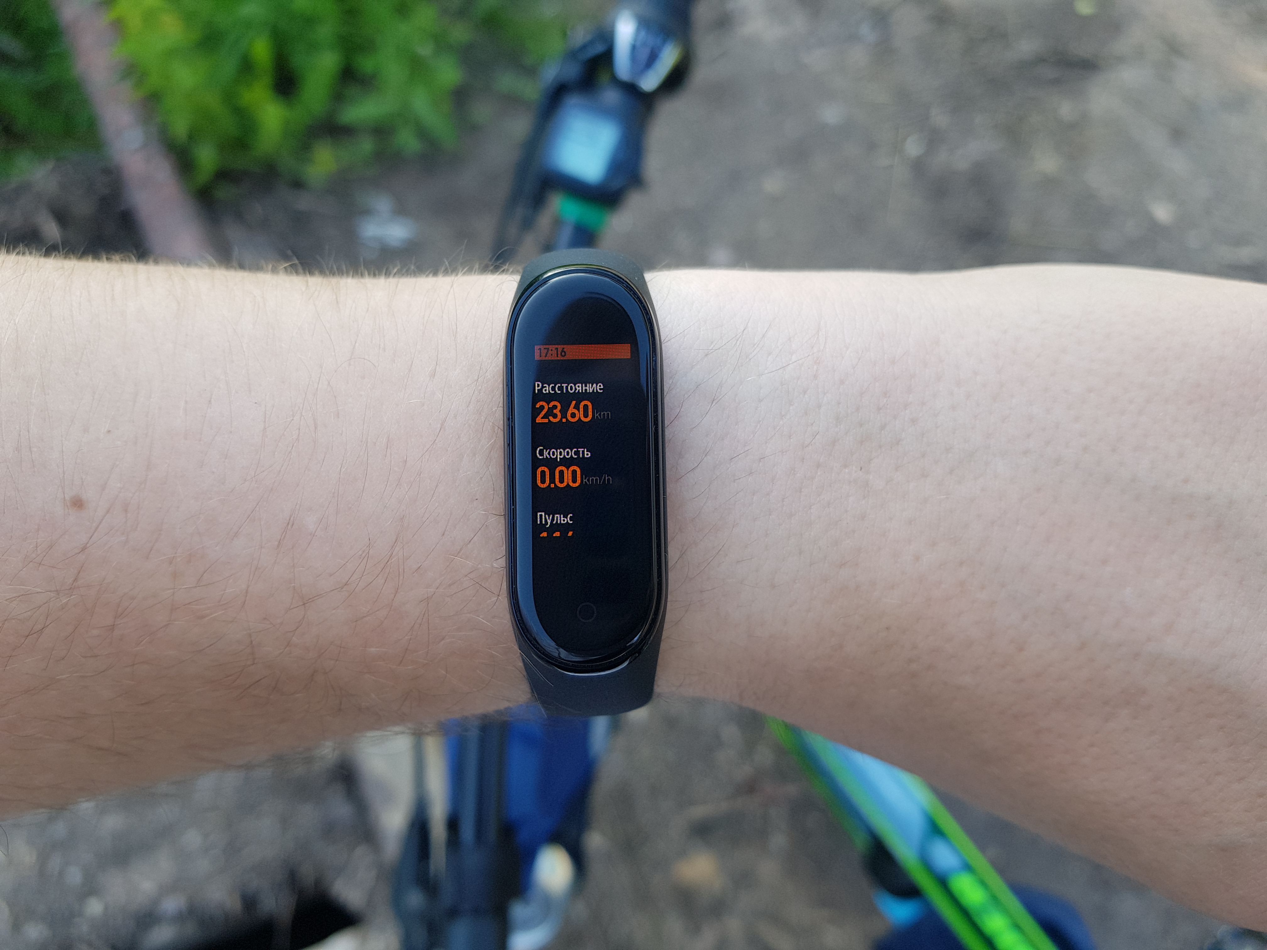 Картинки на дисплей mi band 4