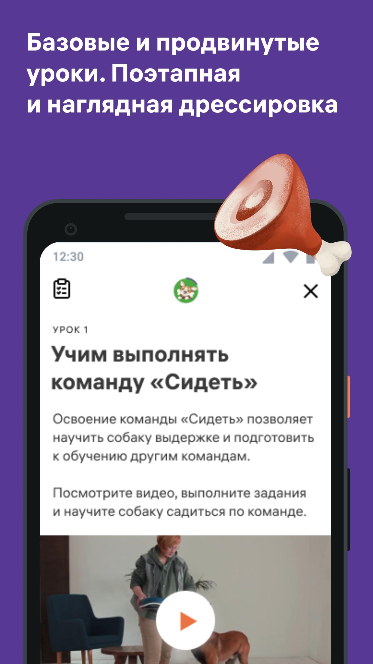 Скачать Petset: дрессировка собак и воспитание кошек 1.17.1 для Android