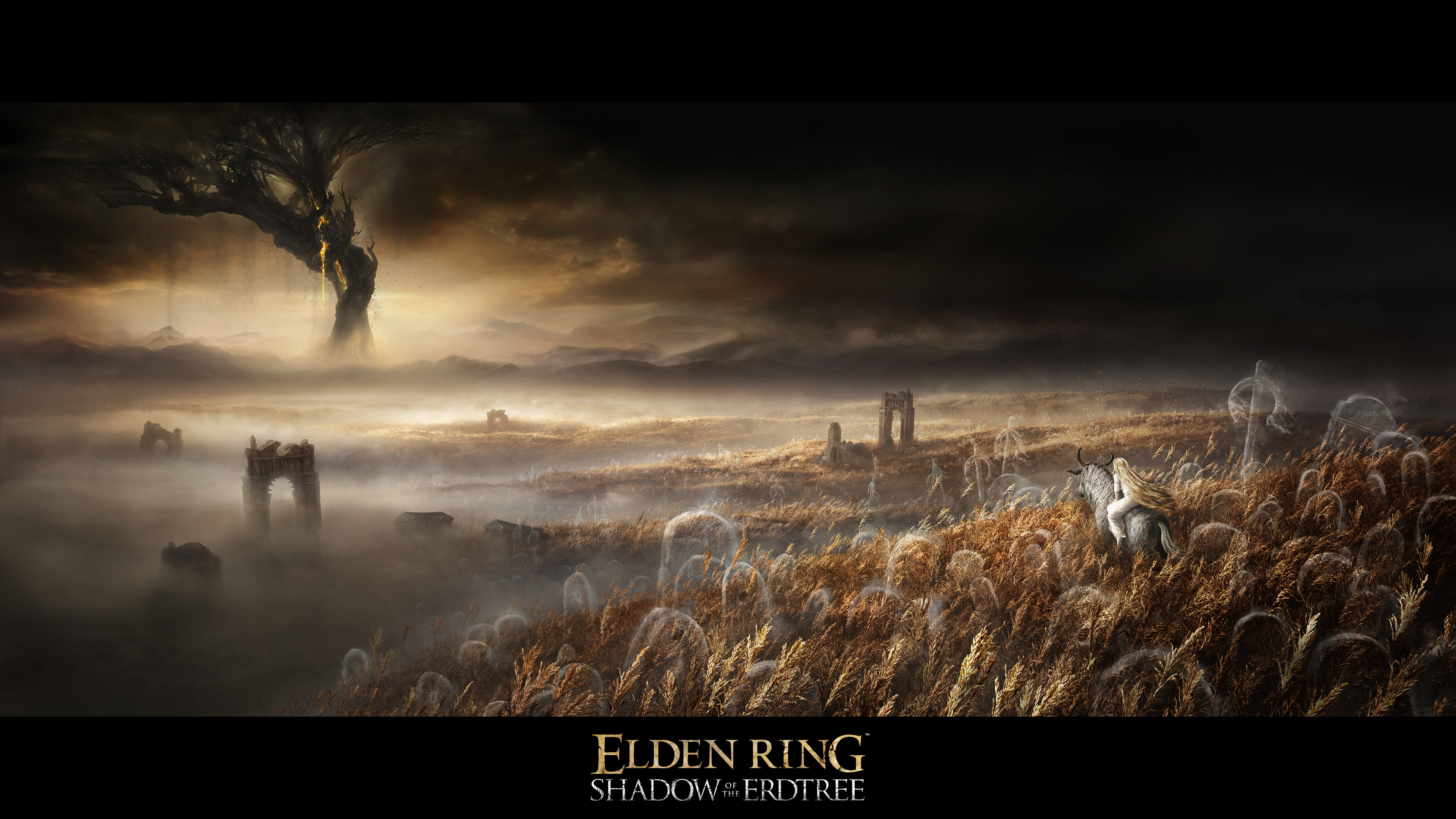 Elden Ring получит крупное сюжетное DLC, но платное. Прошлое было бесплатным