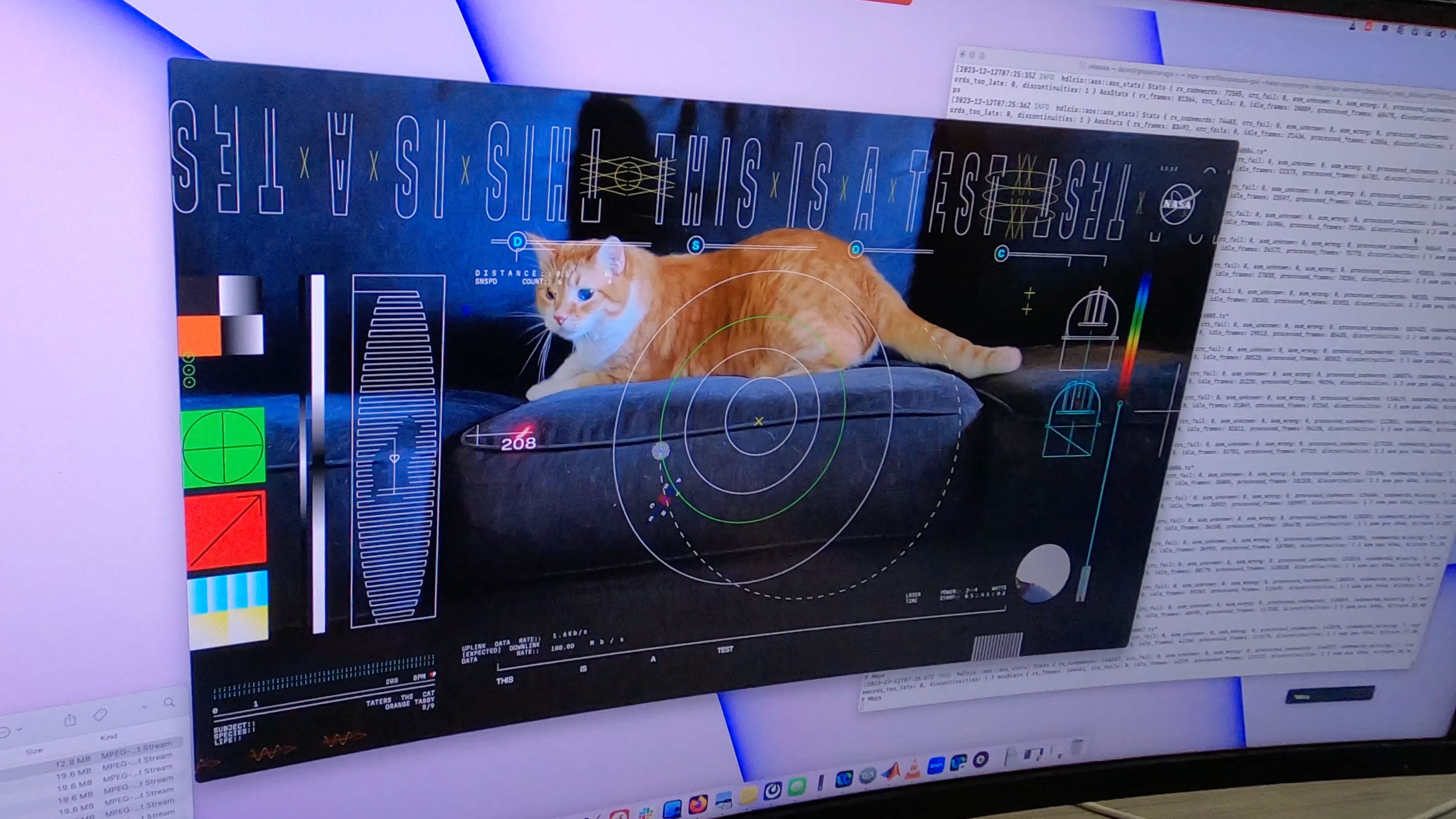 Видео с котиком от NASA — это надо видеть. Ролик передали по лазеру c 31  млн километров