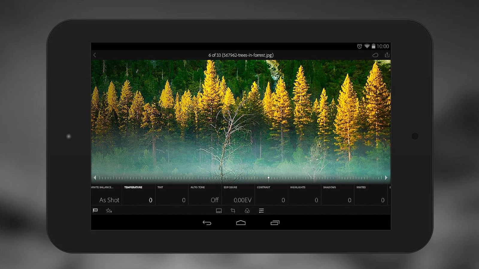 Adobe Lightroom для Android: поддержка планшетов и RAW-формата