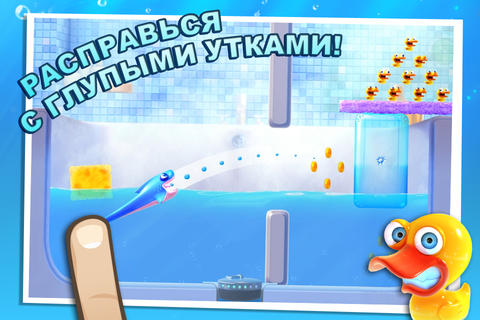 Download Shark Dash