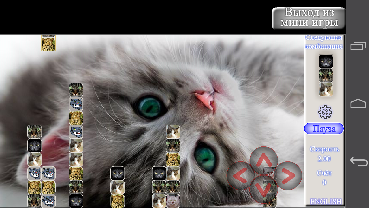 Скачать Find the Cat 2.0.9 для Android