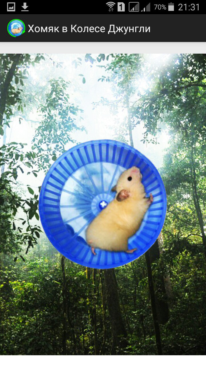 Скачать Hamster In a Wheel Jungle 1.0 для Android