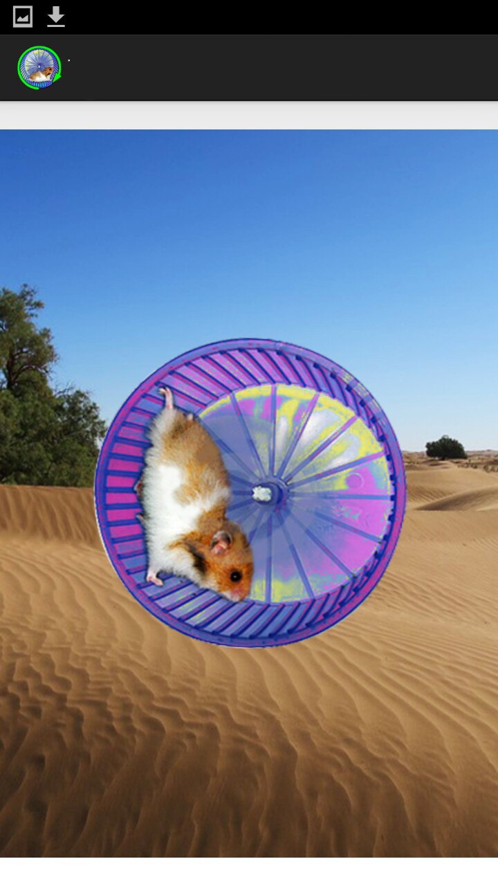 Скачать Hamster in a Wheel Desert 1.0 для Android