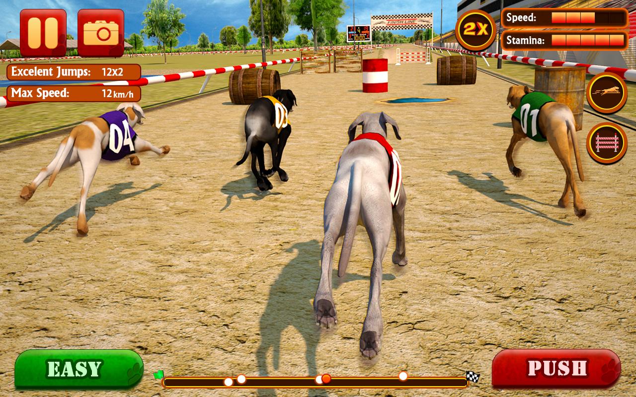 Скачать Dog Race & Stunts 2016 1.4 для Android