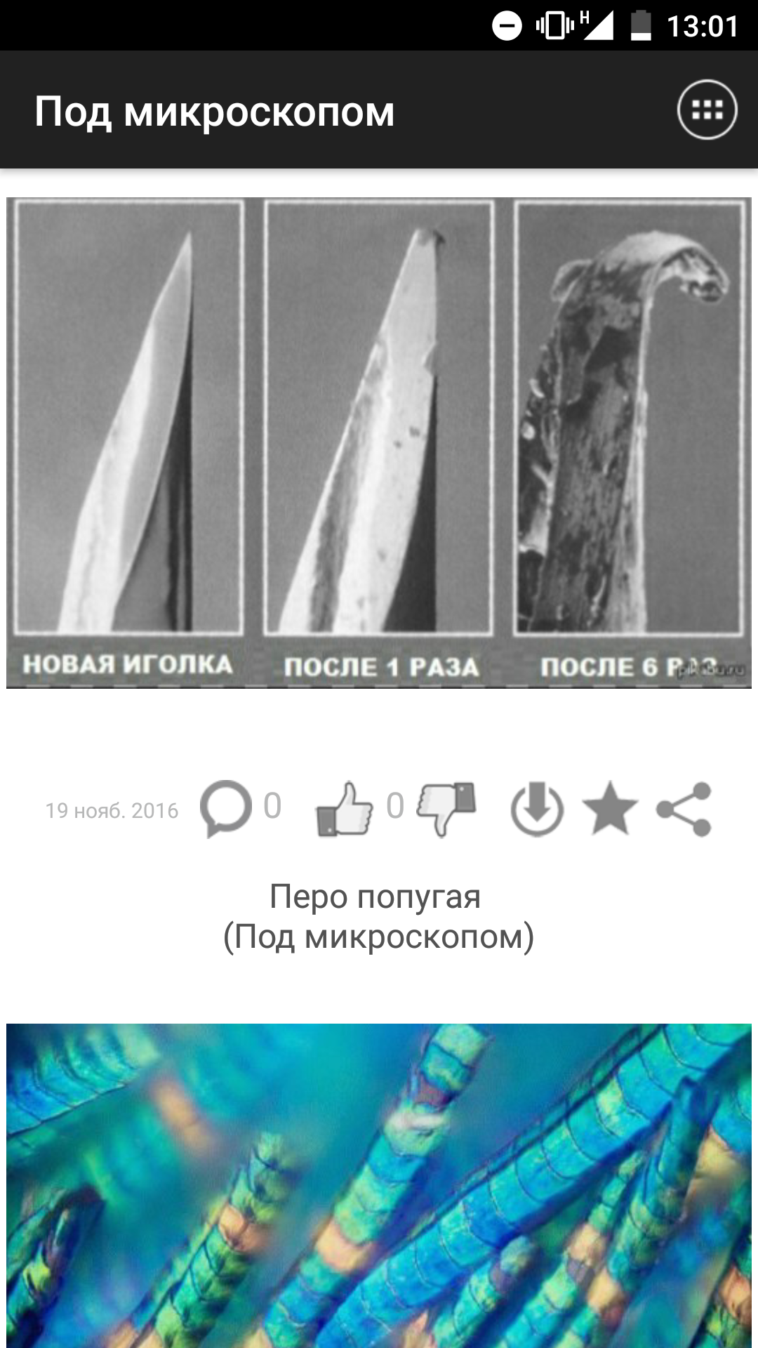 Скачать Под микроскопом 1.36 для Android