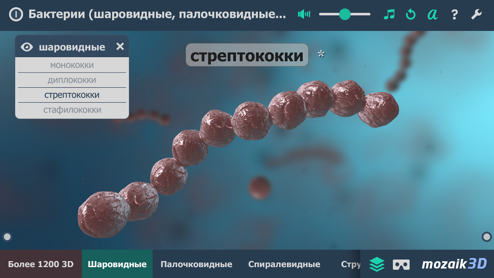 игра об бактериях (97) фото