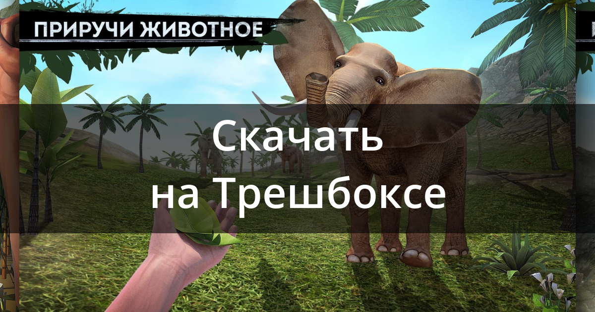 Expedition for survival прохождение 31 уровень